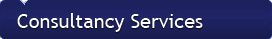 Consultancy Services